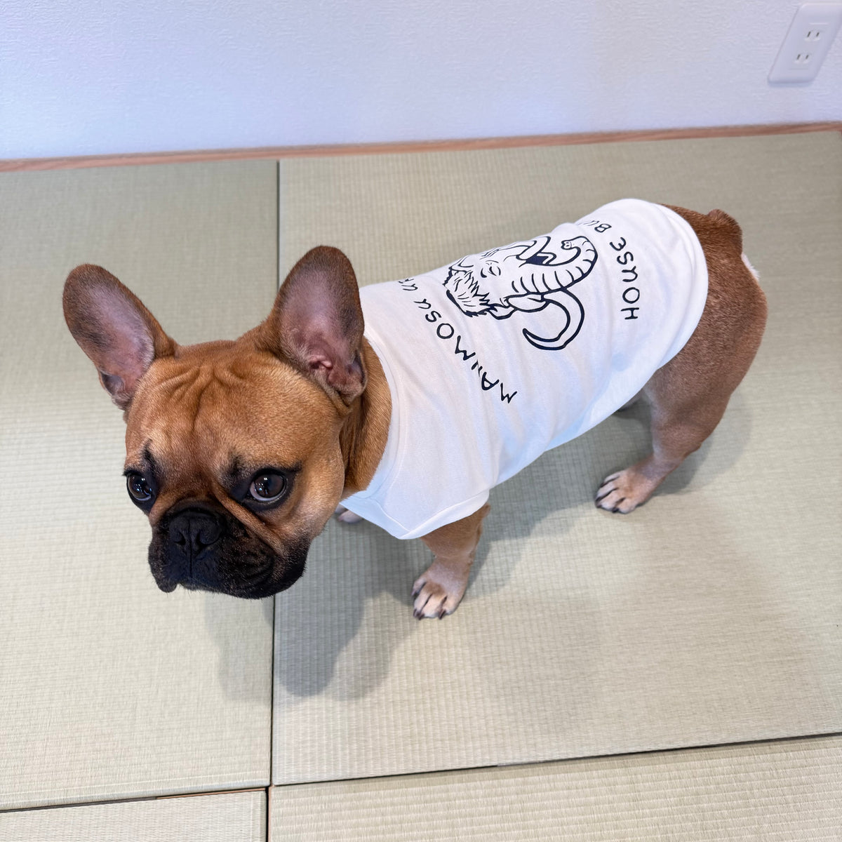 マンモスうれぴ〜／MANMOSU UREPII tank top