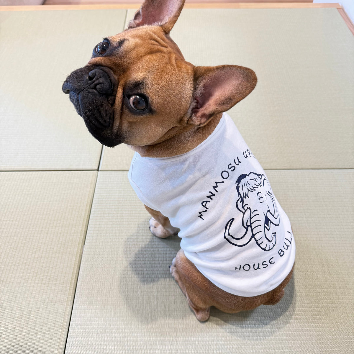 マンモスうれぴ〜／MANMOSU UREPII tank top