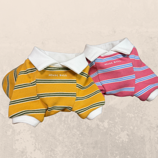 レトロボーダーポロ／Retro Border Polo